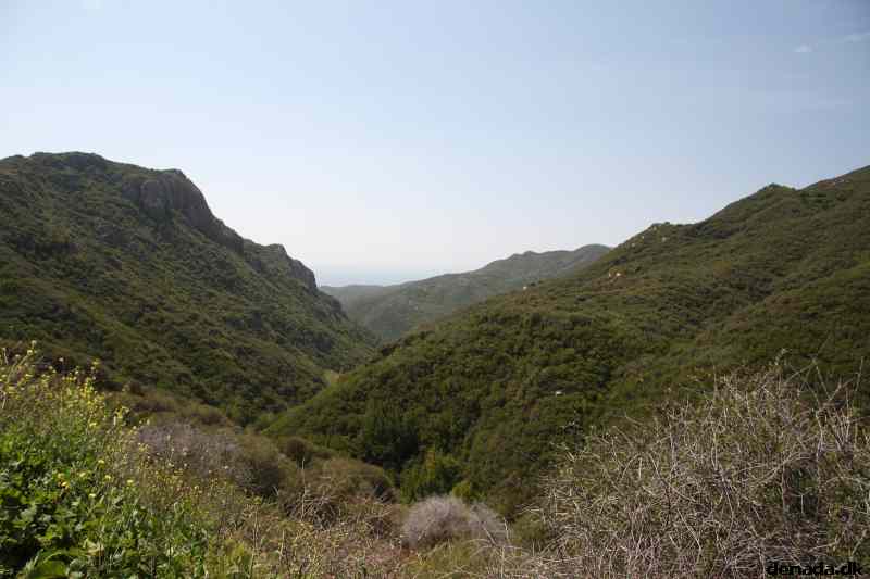* Image 30