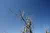 201104150262m.jpg - 2011:04:15 09:24:20