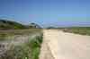 201104150265m.jpg - 2011:04:15 09:32:47