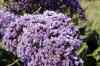 201104150282m.jpg - 2011:04:15 10:03:58