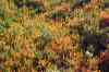 201104150285m.jpg - 2011:04:15 10:06:27