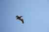 201104150306m.jpg - 2011:04:15 10:25:03