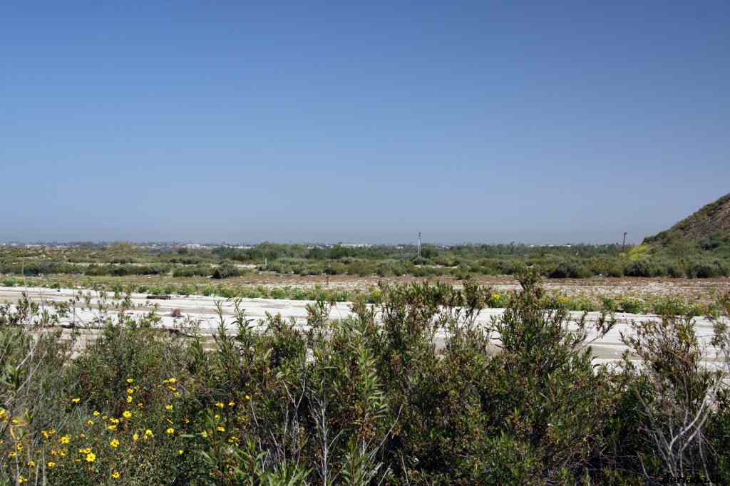 * Image 1
