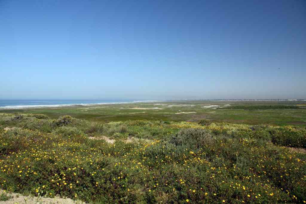 * Image 14