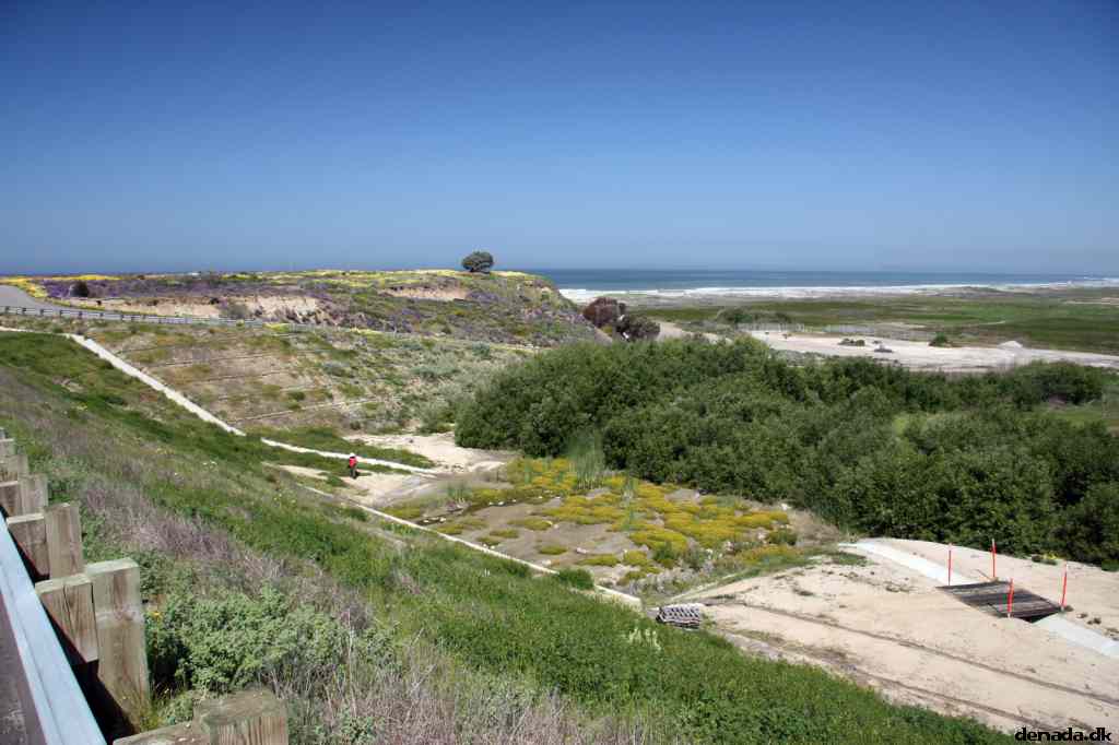 * Image 18