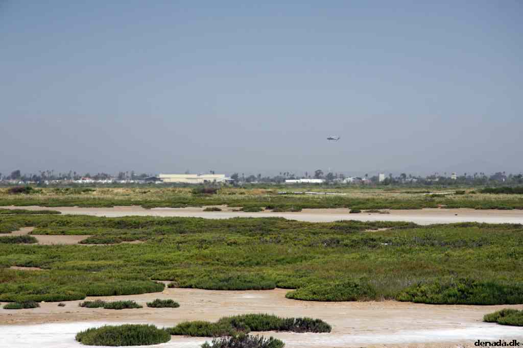 * Image 41