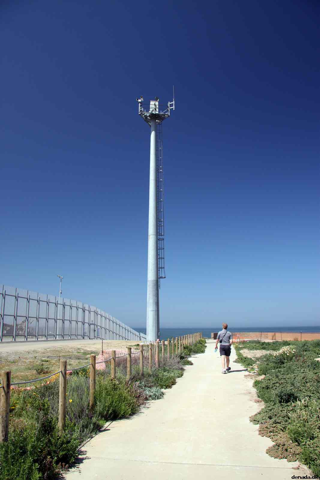* Image 19