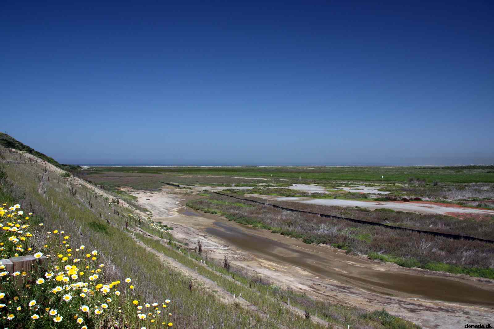 * Image 11