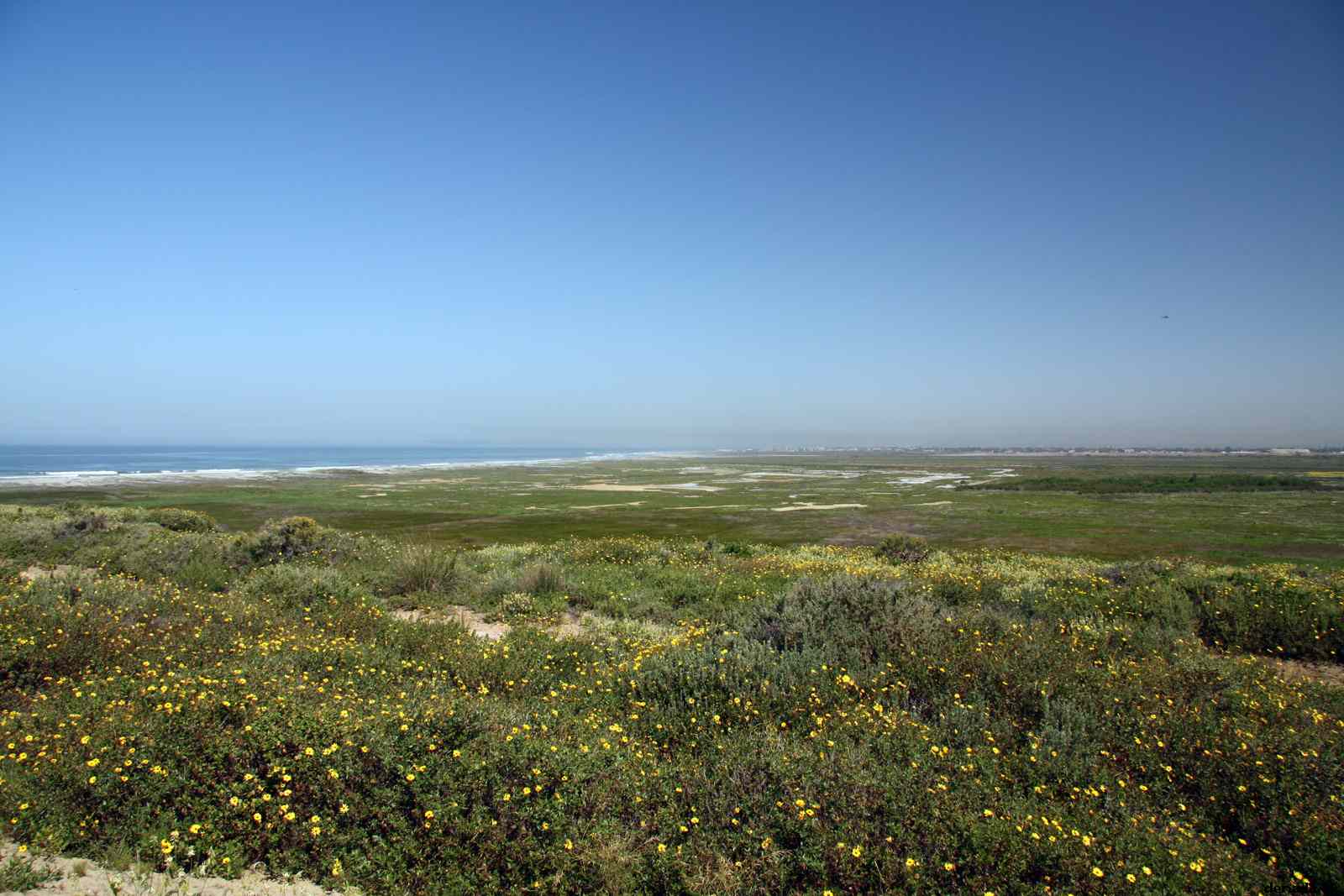 * Image 13