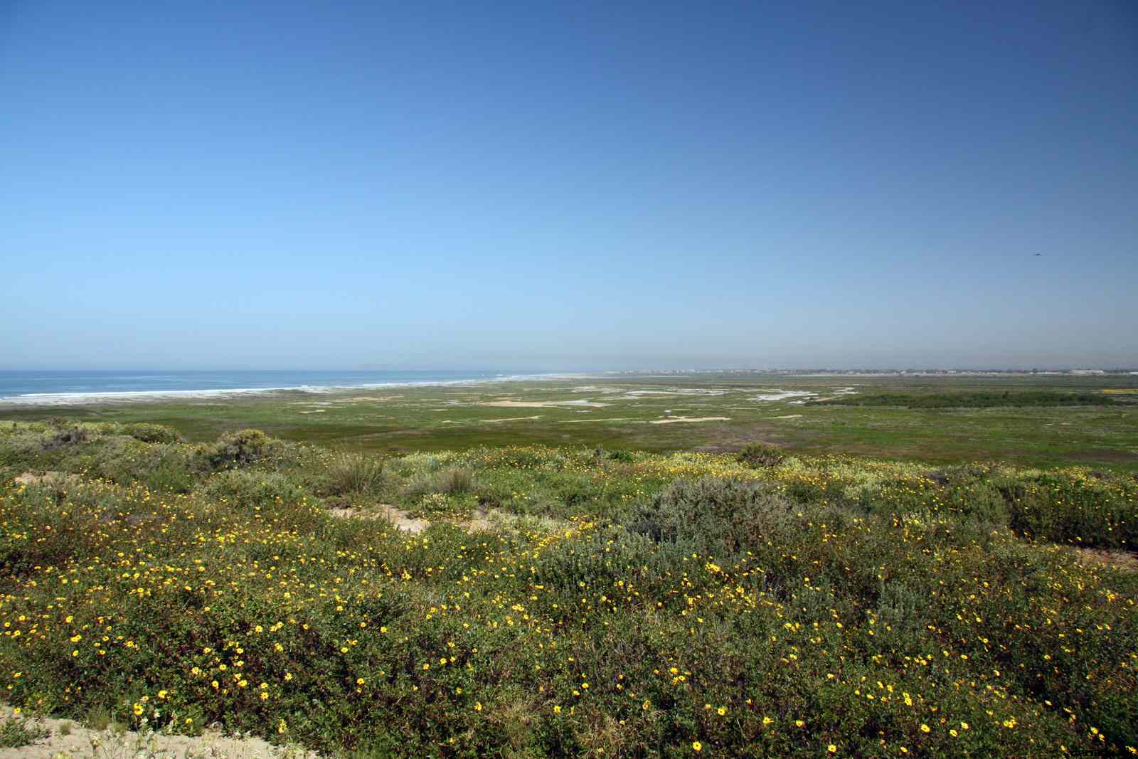 * Image 14