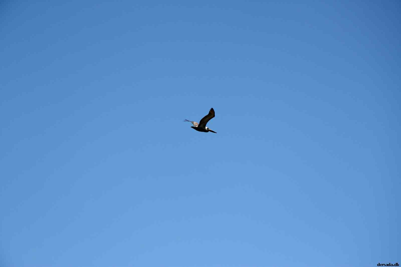 * Image 37