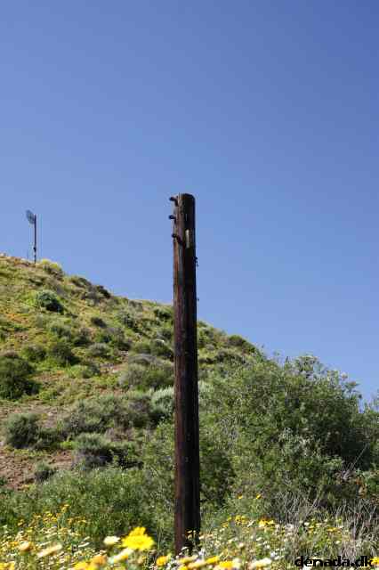 * Image 2