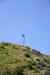 201104150259m.jpg - 2011:04:15 09:16:59