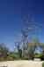 201104150260m.jpg - 2011:04:15 09:19:08