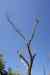 201104150261m.jpg - 2011:04:15 09:20:24