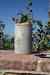 201104150278m.jpg - 2011:04:15 09:55:58