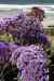 201104150283m.jpg - 2011:04:15 10:04:12