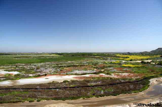 * Image 12