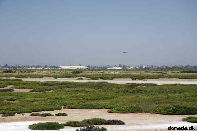 * Image 41