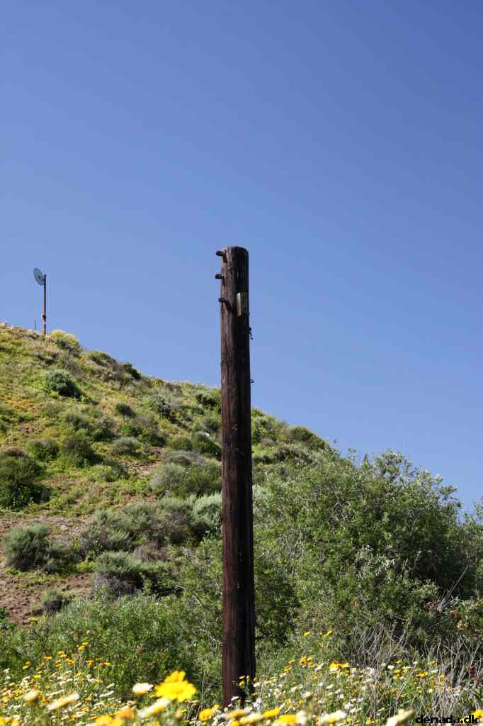 * Image 2