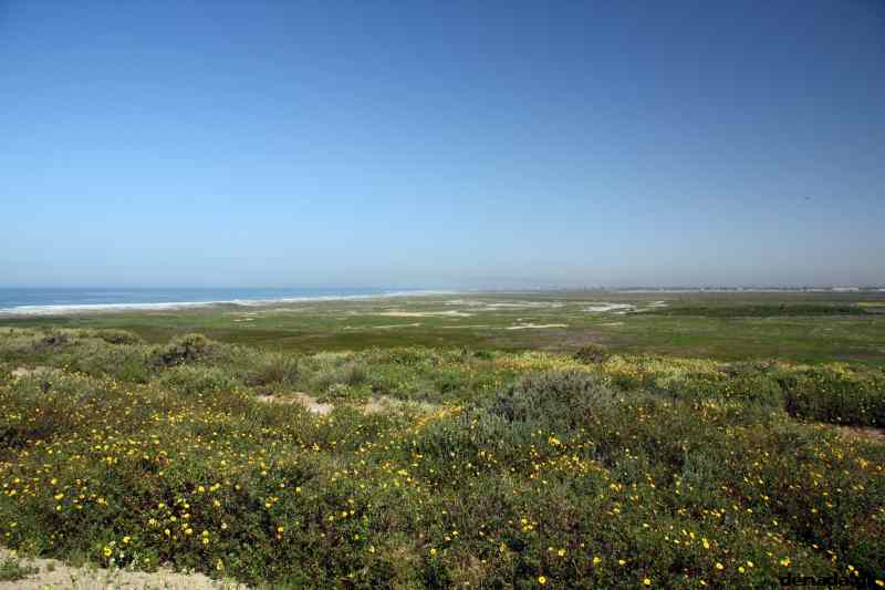* Image 14