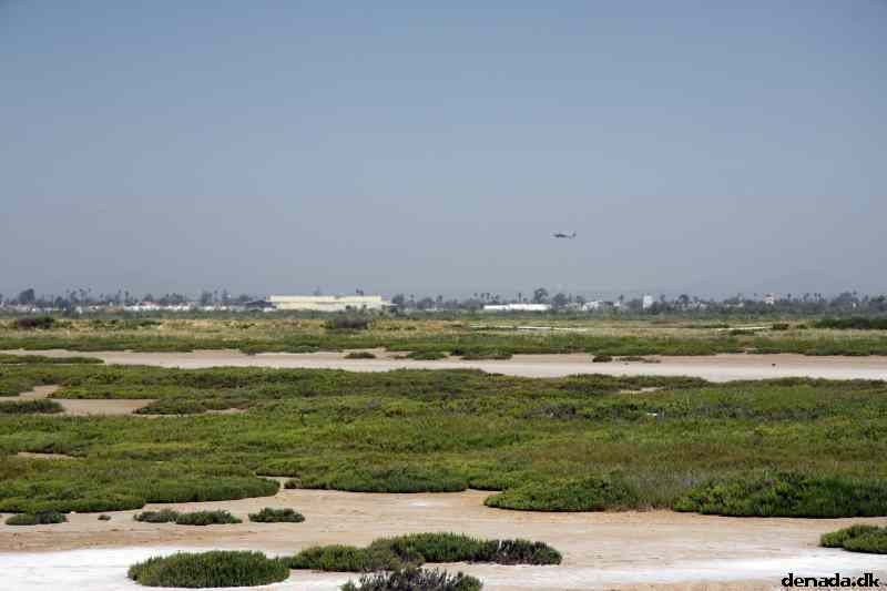 * Image 41