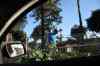 201104170460m.jpg - 2011:04:16 17:24:33