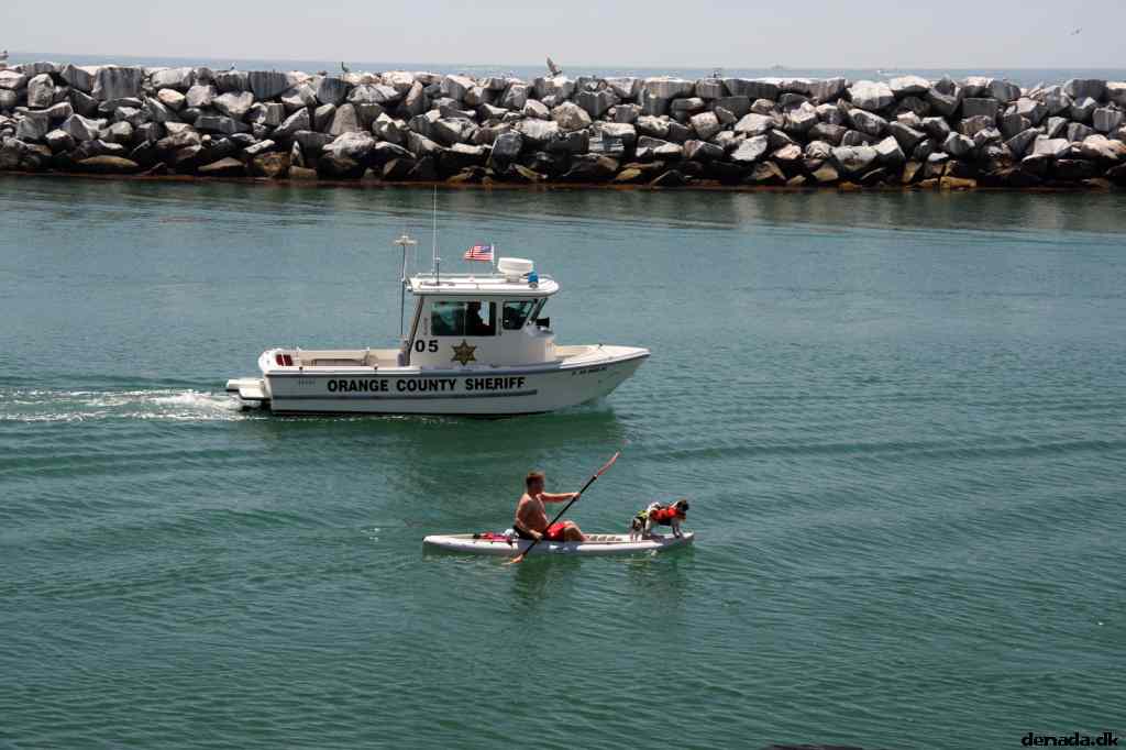 * Image 8