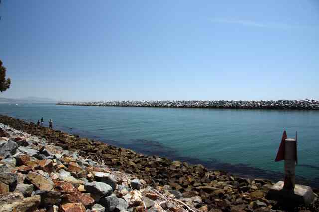 * Image 11