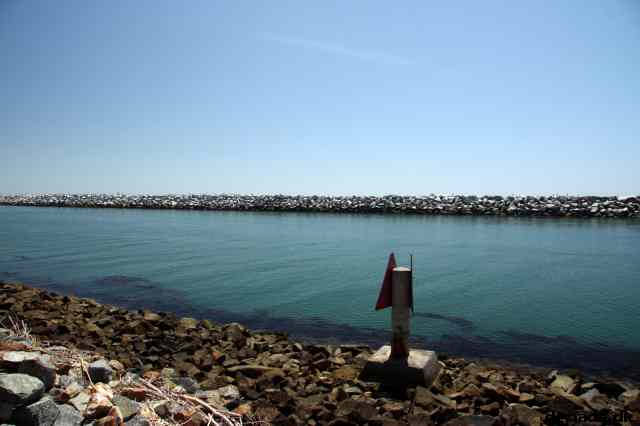 * Image 12