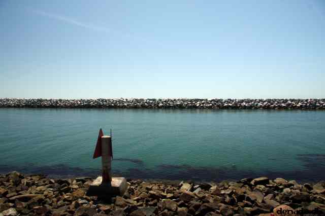 * Image 13