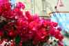 201104170470m.jpg - 2011:04:17 12:02:53