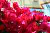 201104170471m.jpg - 2011:04:17 12:02:56