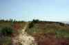 201104170488m.jpg - 2011:04:17 13:34:03
