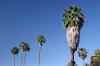 201104180500m.jpg - 2011:04:17 15:41:59