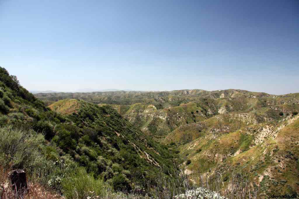* Image 11