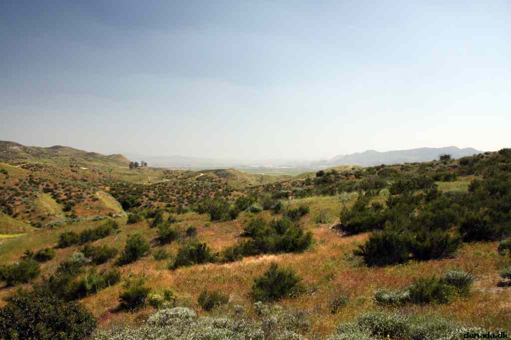 * Image 12