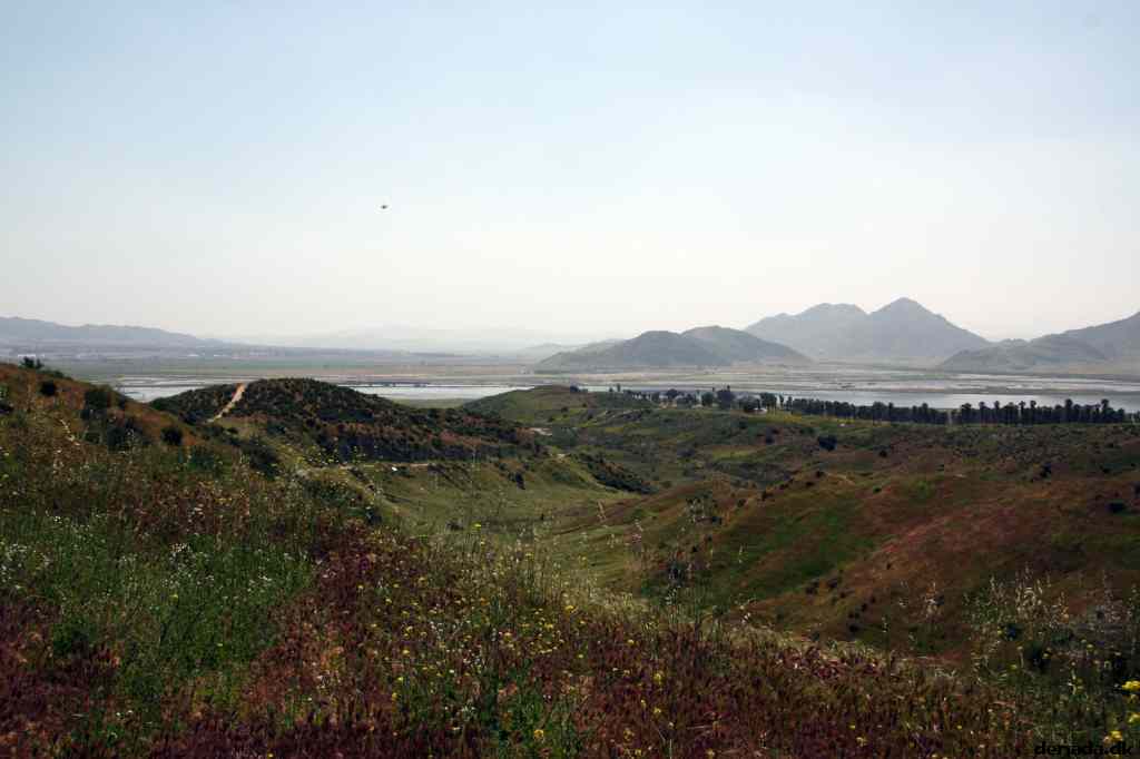 * Image 14