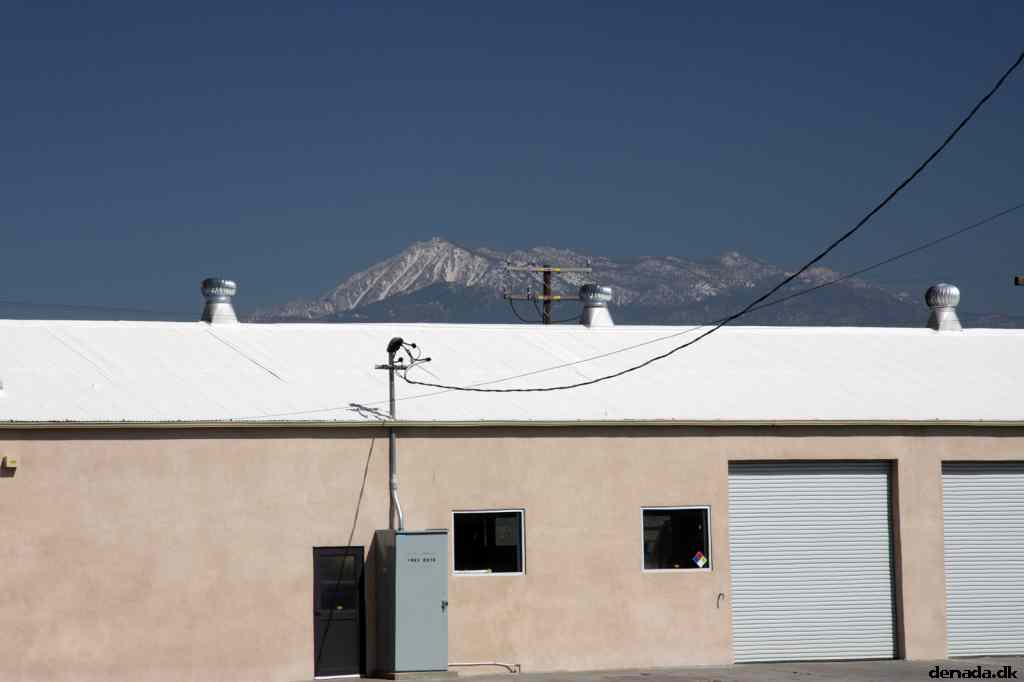 * Image 19