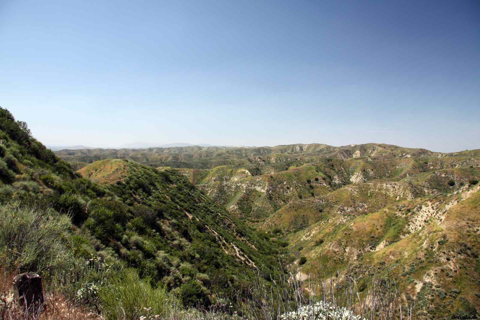 * Image 11