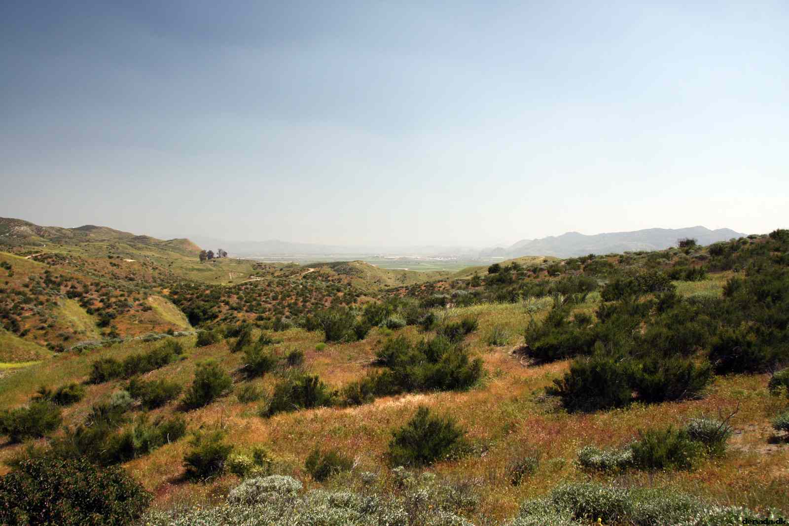 * Image 12