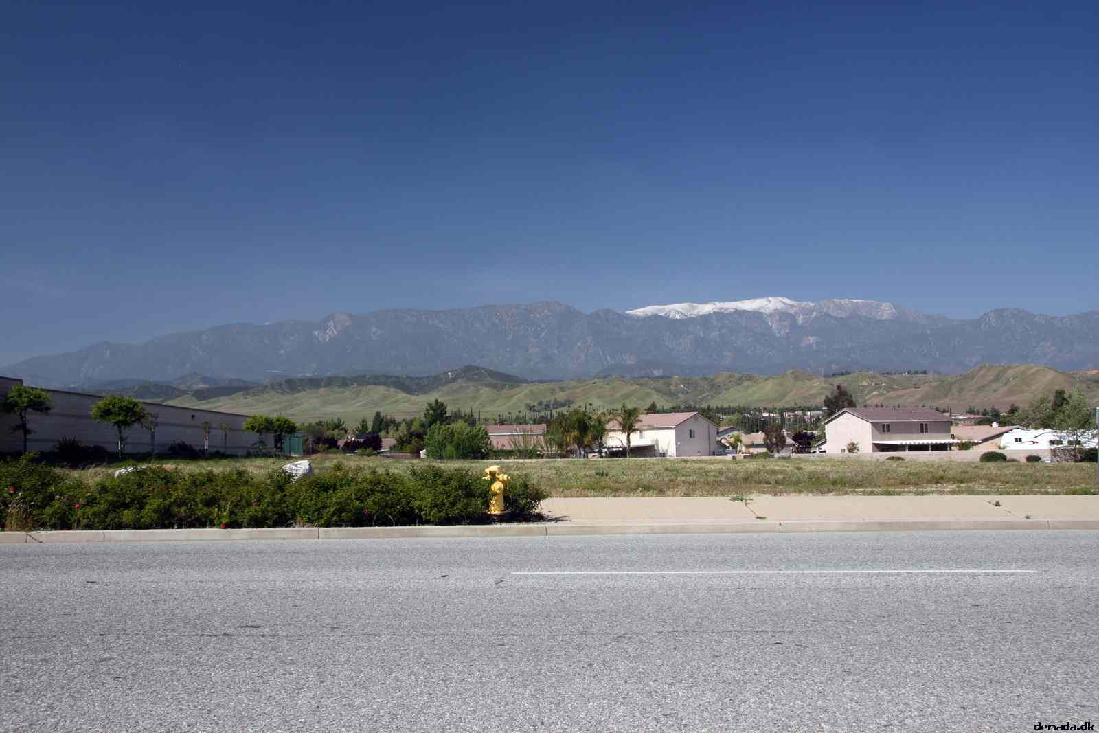 * Image 23