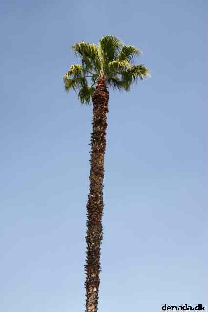 * Image 5