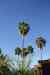 201104180505m.jpg - 2011:04:17 16:10:28