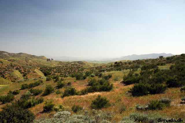 * Image 12