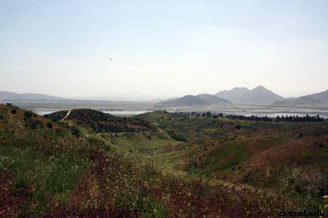 * Image 14