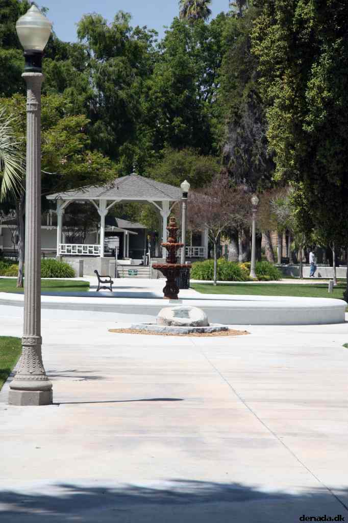 * Image 3