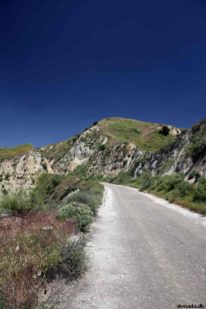 * Image 10