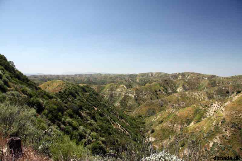 * Image 11