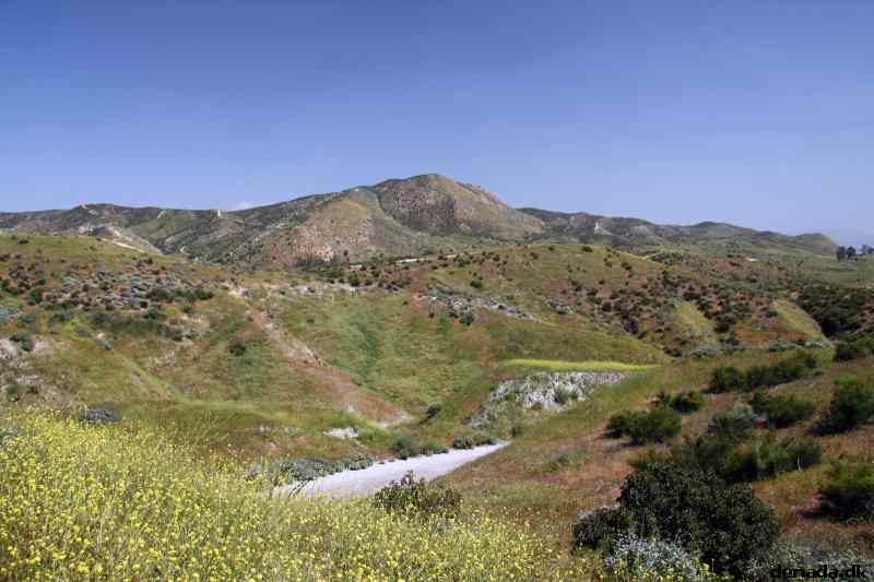* Image 13